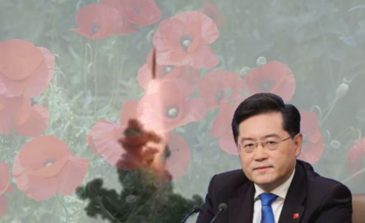 秦刚离奇失踪，落马原因探秘