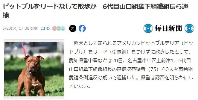 点击图片看原样大小图片