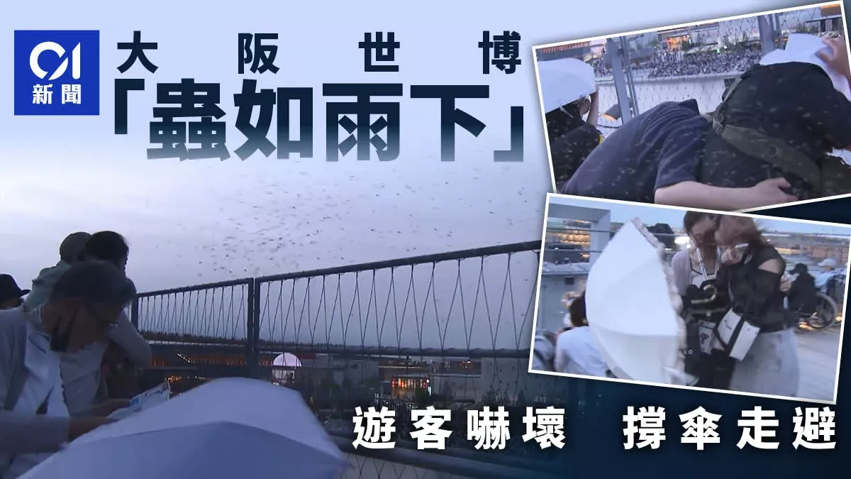 點擊圖片看原様大小圖片