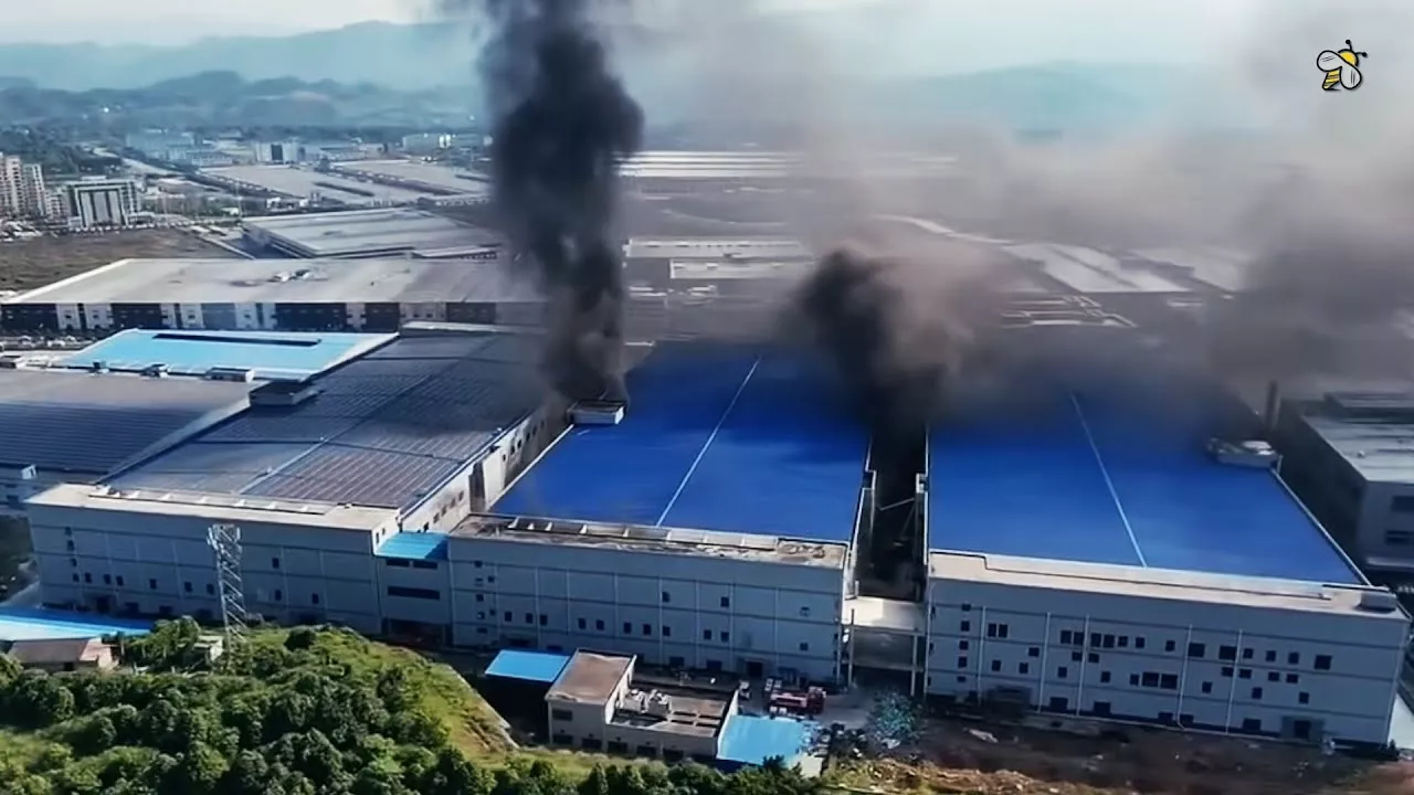 点击图片看原样大小图片