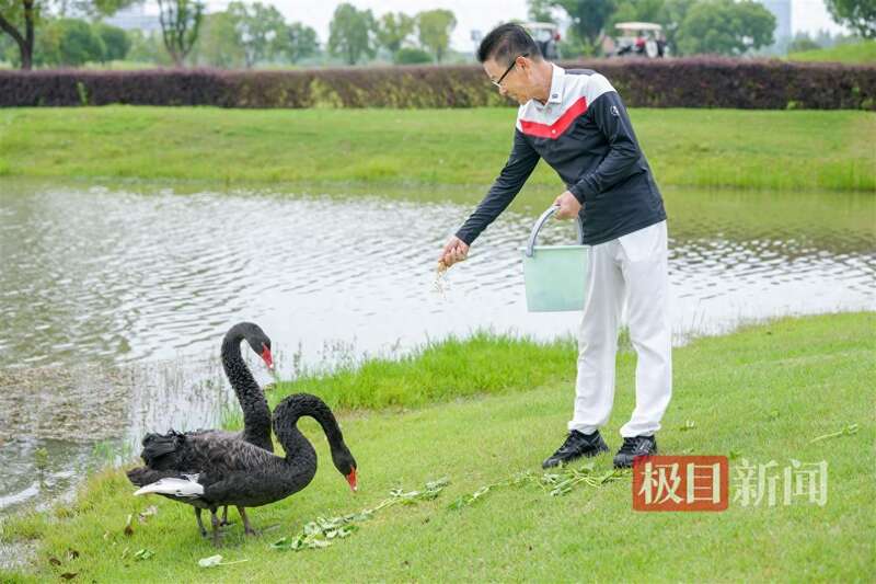 点击图片看原样大小图片