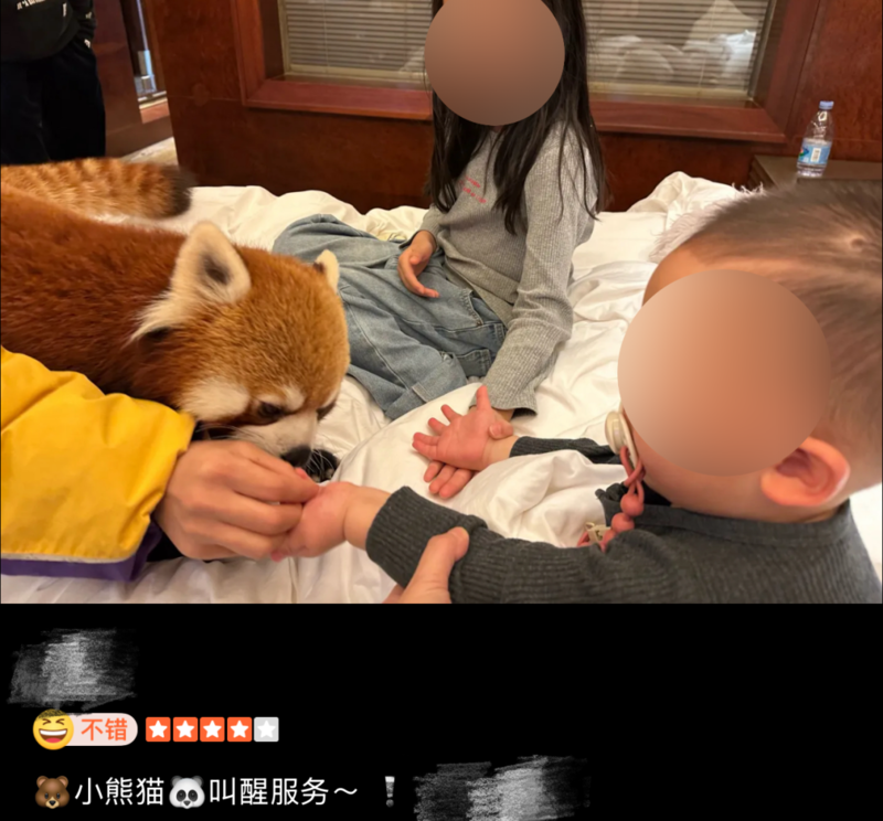 点击图片看原样大小图片