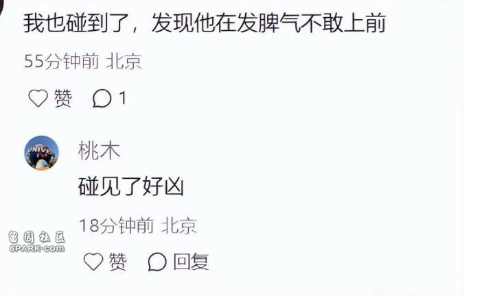 点击图片看原样大小图片