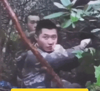 点击图片看原样大小图片