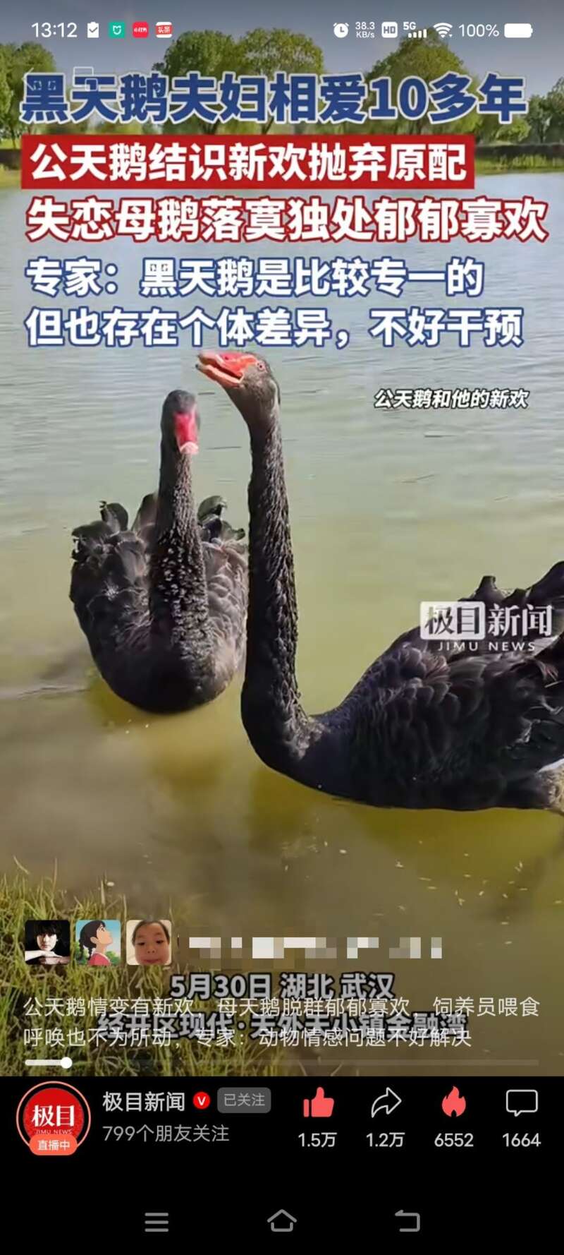 点击图片看原样大小图片