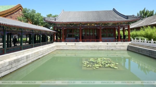 点击图片看原样大小图片