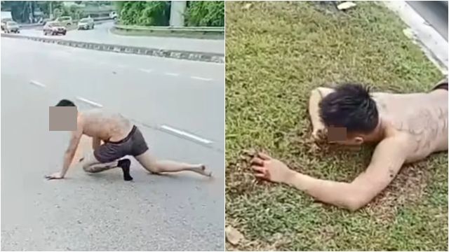 点击图片看原样大小图片