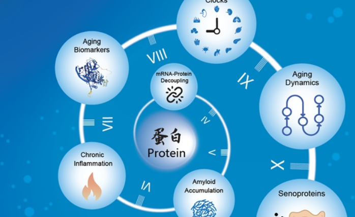 科学家揭秘“衰老时间表”