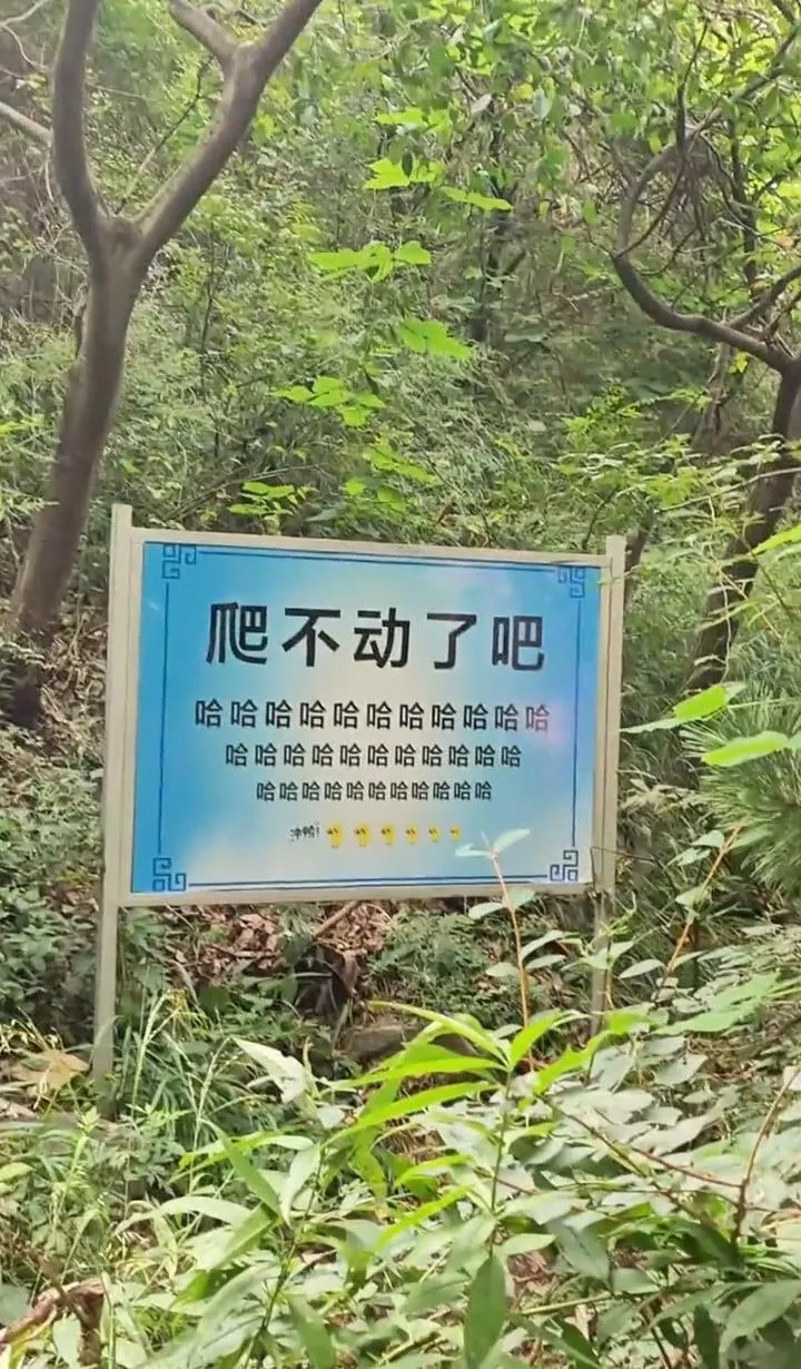点击图片看原样大小图片