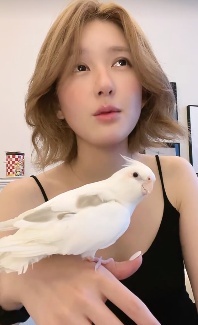 点击图片看原样大小图片