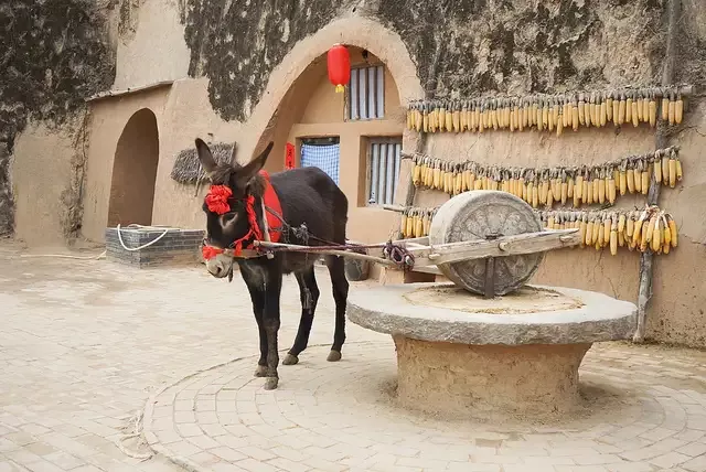 点击图片看原样大小图片