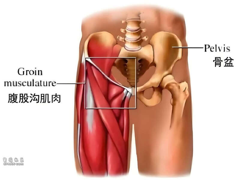 点击图片看原样大小图片