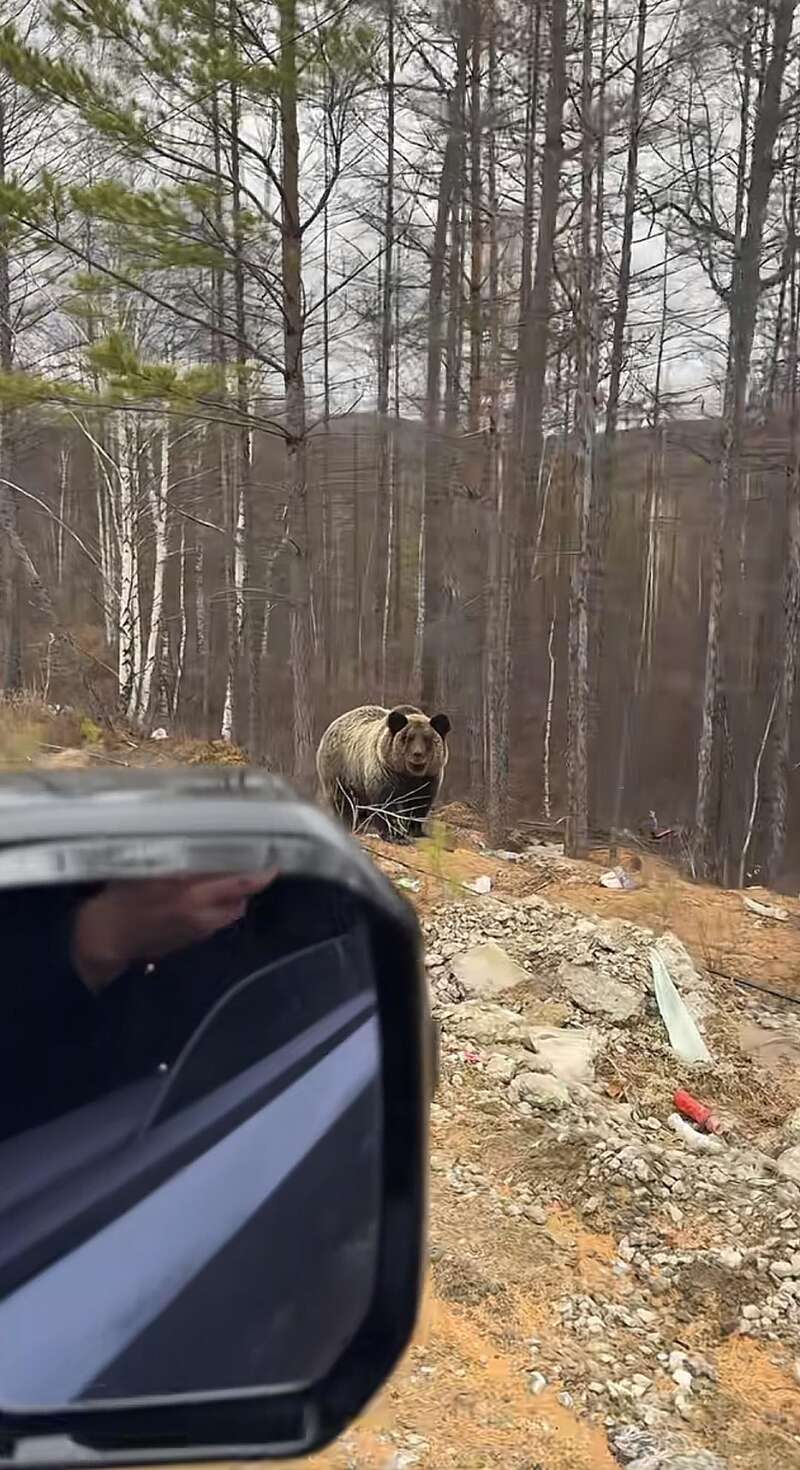 點擊圖片看原様大小圖片