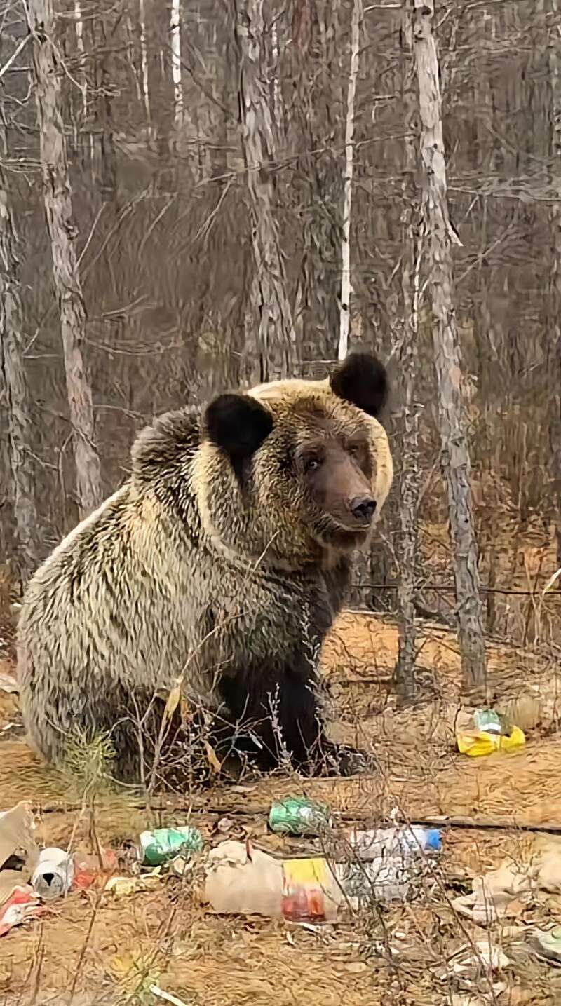 點擊圖片看原様大小圖片