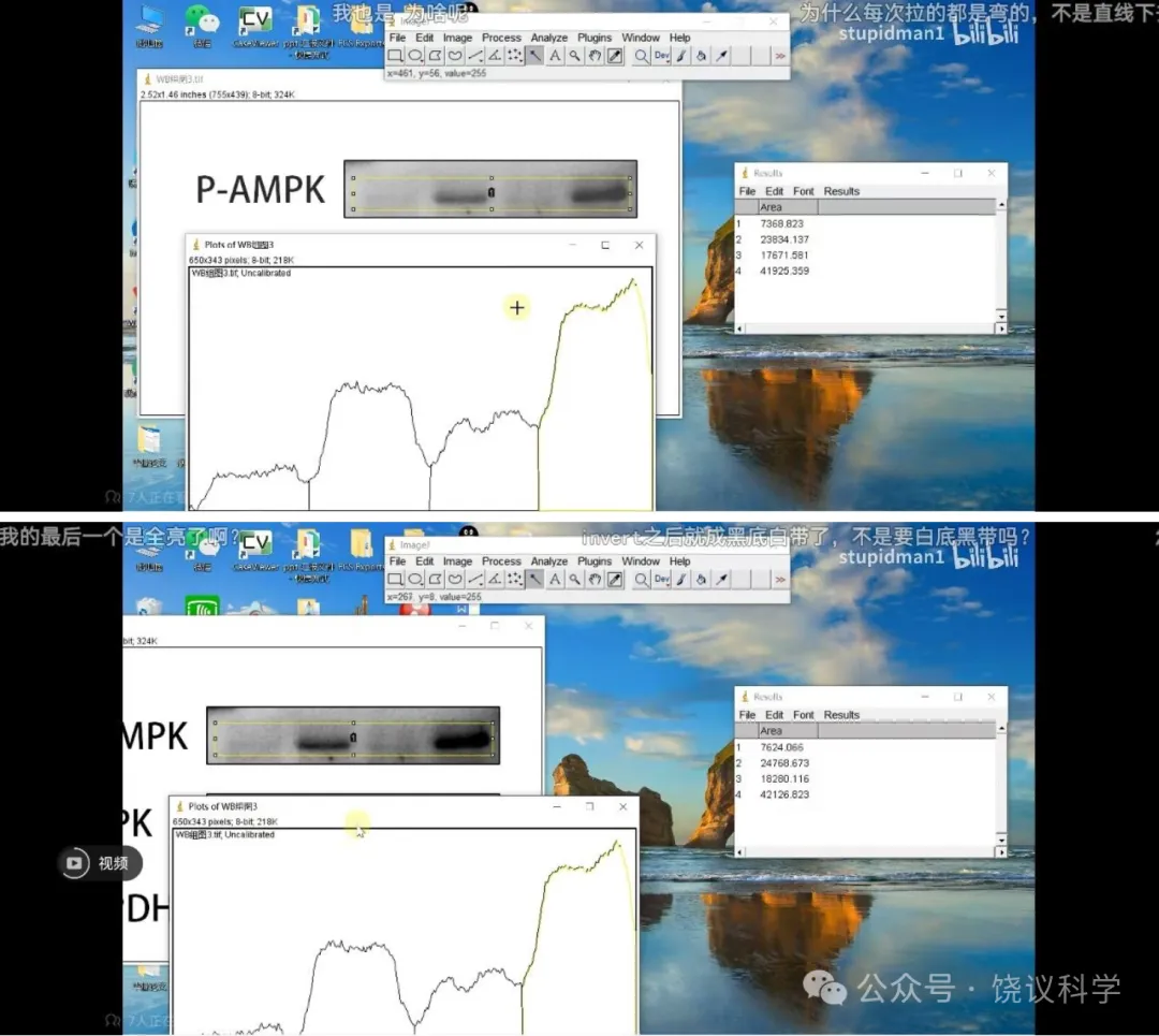 点击图片看原样大小图片