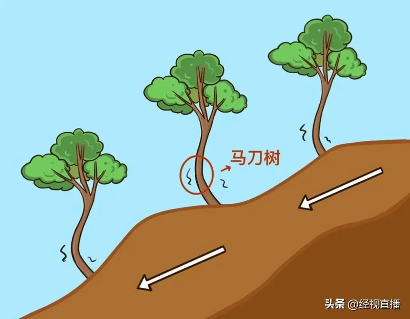 点击图片看原样大小图片
