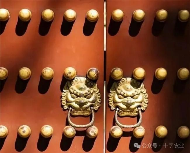 点击图片看原样大小图片