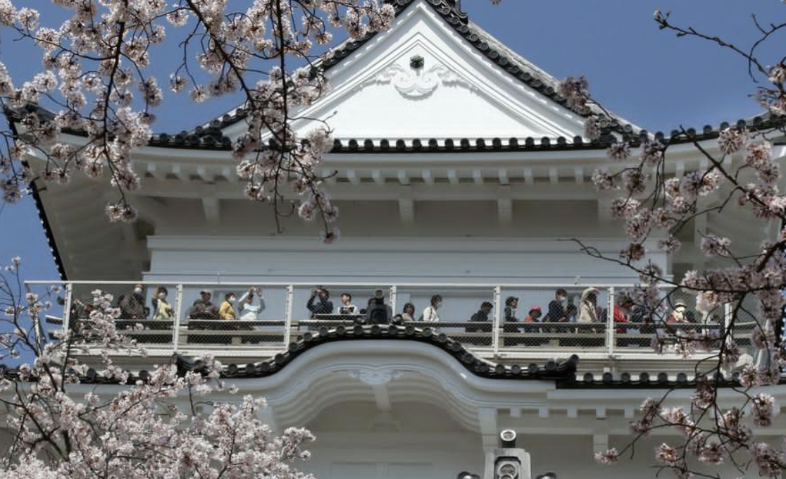 寂静的挣扎：日本空寺求生记