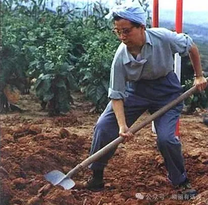 点击图片看原样大小图片