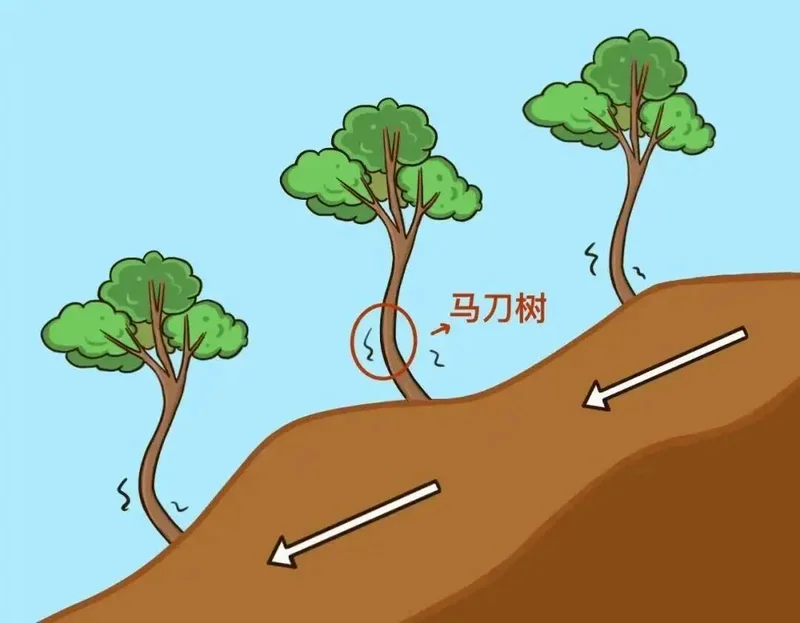 点击图片看原样大小图片