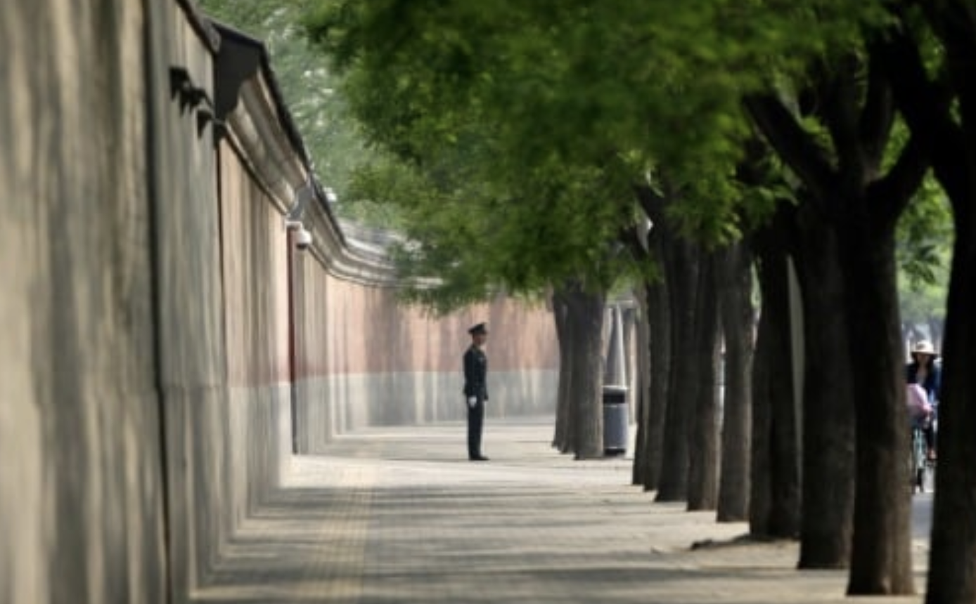 彭丽媛的右手姿势，曝出习近平大秘密