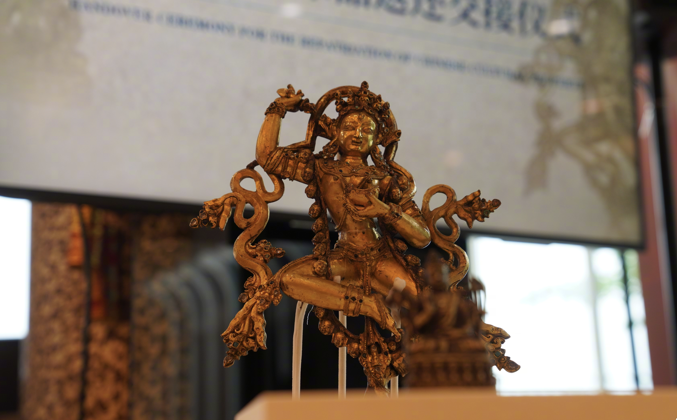 美国返还中方文物和化石都有些啥?