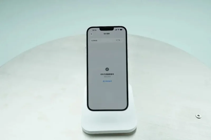 点击图片看原样大小图片