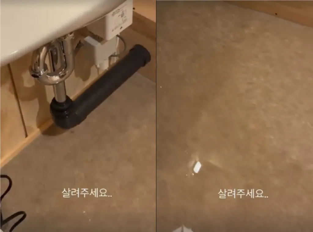 点击图片看原样大小图片