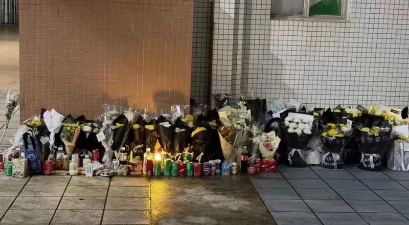 点击图片看原样大小图片