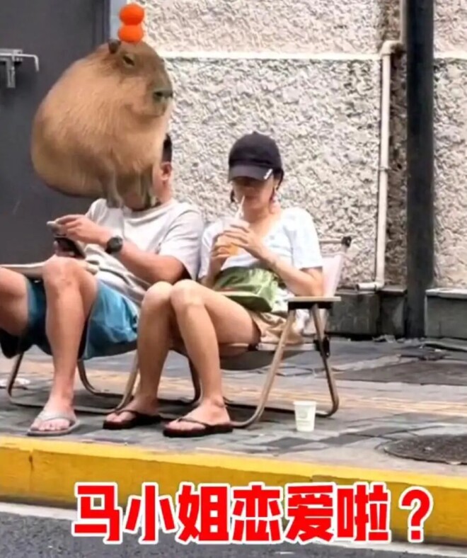点击图片看原样大小图片