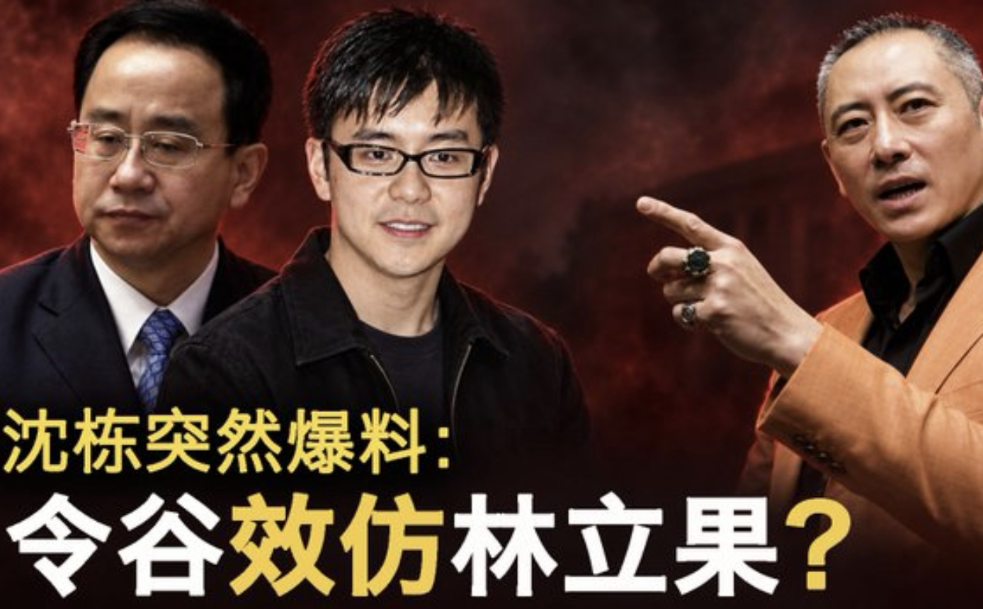 沈栋突然爆料：车祸前他见了令谷一面