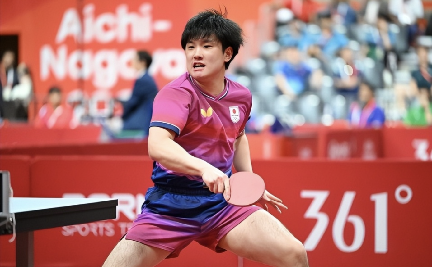 张本智和13分钟3-0完胜