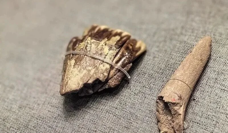 点击图片看原样大小图片