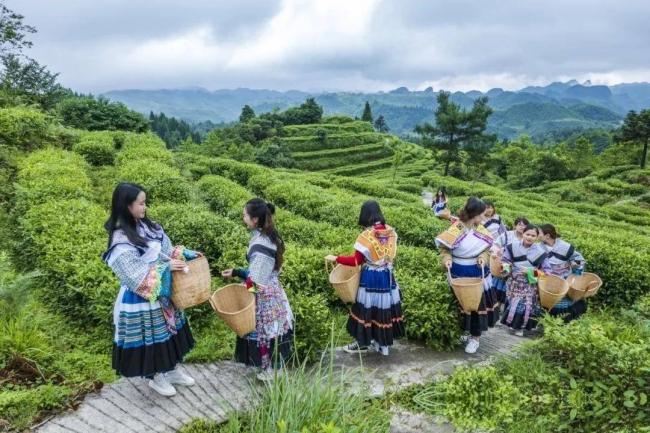 点击图片看原样大小图片
