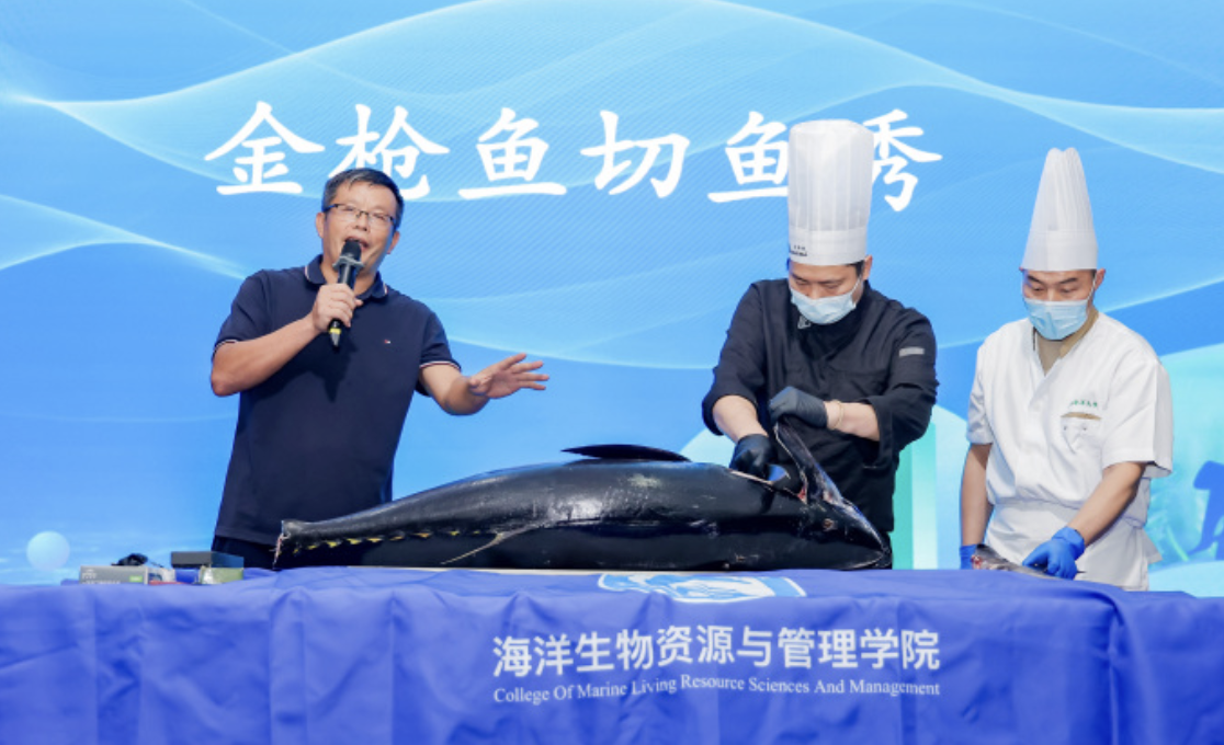 这家高校把100斤蓝鳍金枪鱼端上课堂
