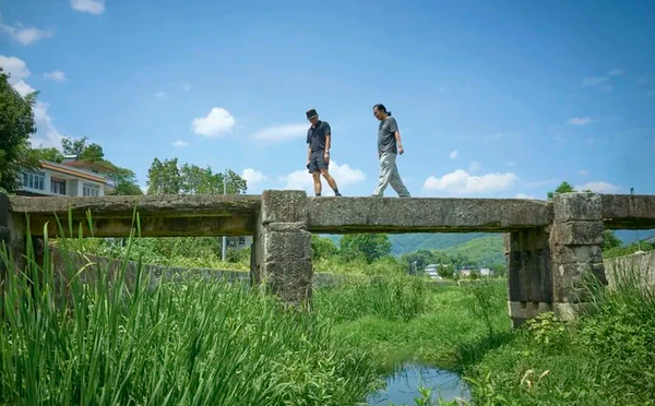 杨贵妃吃的荔枝,到底从哪儿运来的?