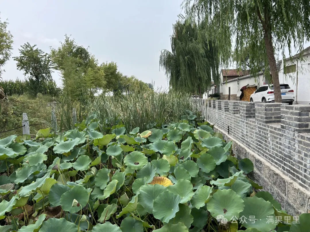 点击图片看原样大小图片