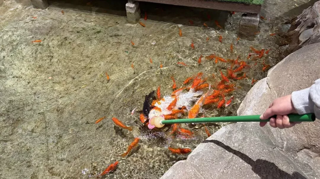 点击图片看原样大小图片