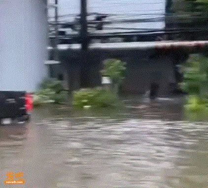 点击图片看原样大小图片