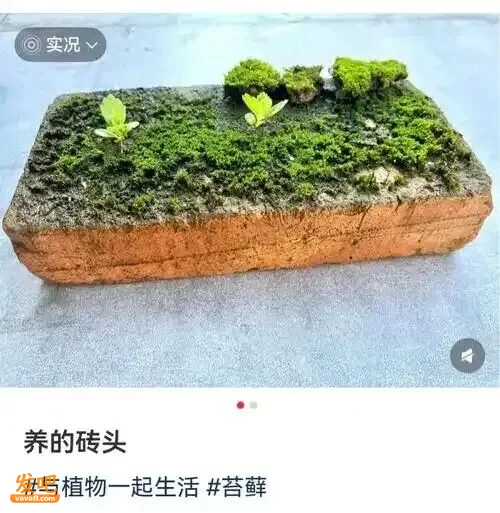 点击图片看原样大小图片