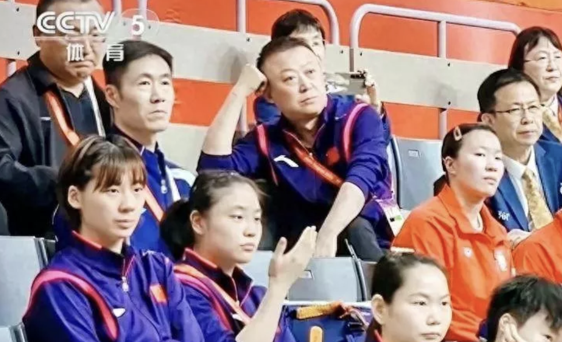与马琳离婚后,她嫁给金融人士定居美国
