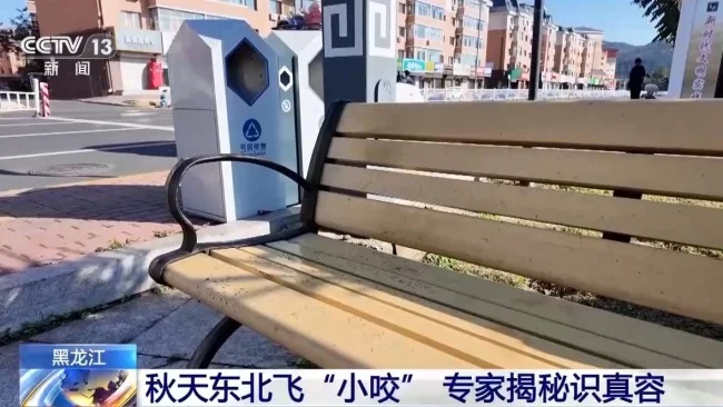 点击图片看原样大小图片
