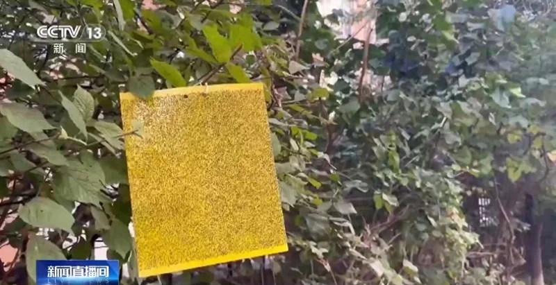 点击图片看原样大小图片