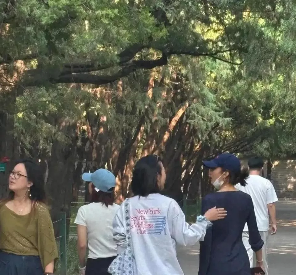 点击图片看原样大小图片