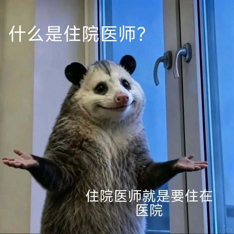 点击图片看原样大小图片
