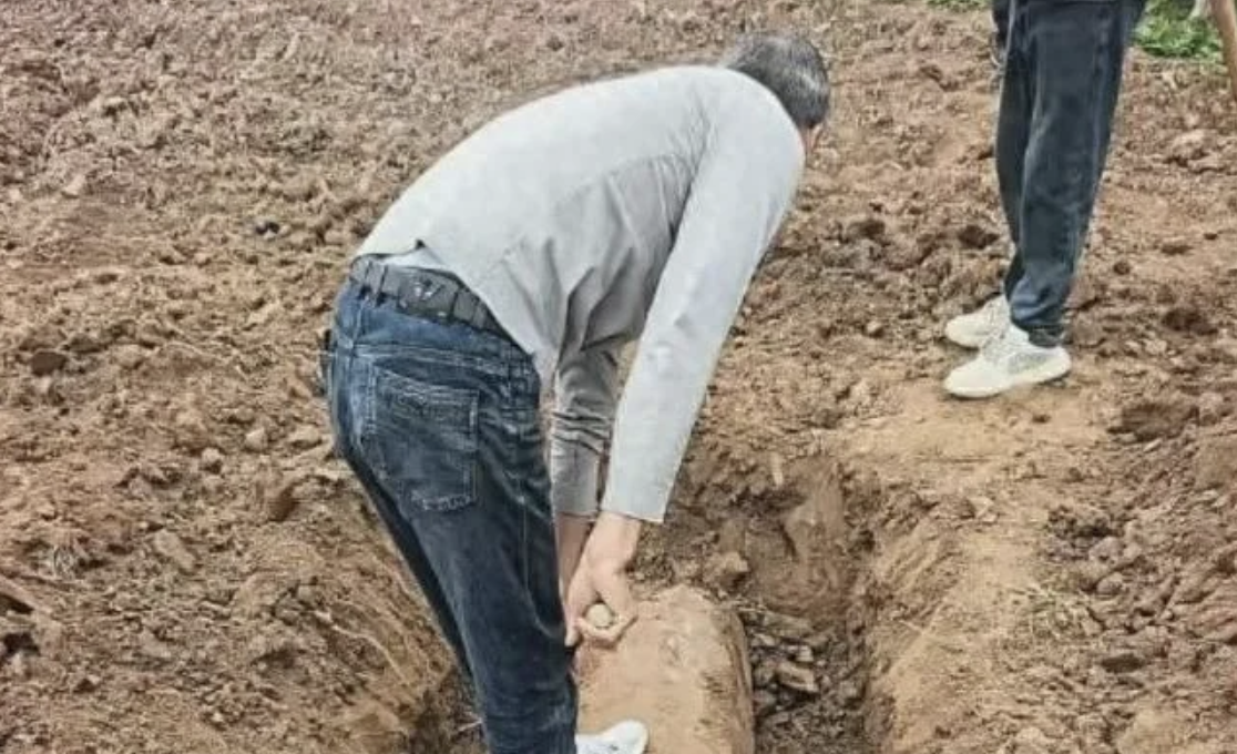 西安村民在菜地里挖出800年前大石柱
