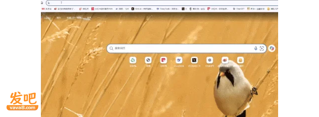 点击图片看原样大小图片
