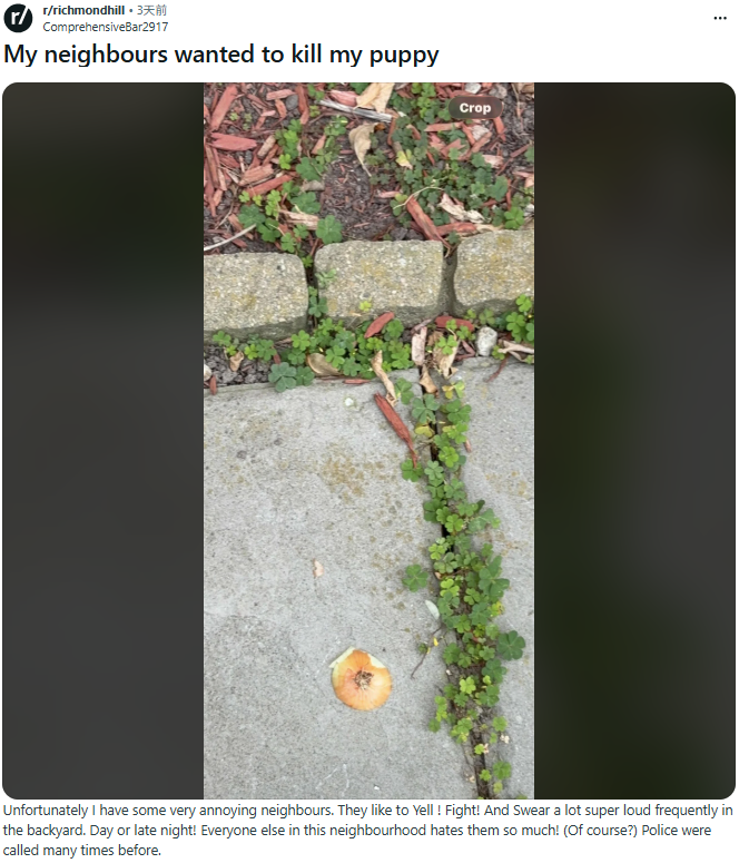 点击图片看原样大小图片